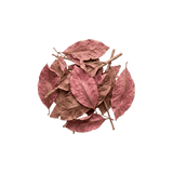 Pau D'Arco Extract 20:1 — 100mg