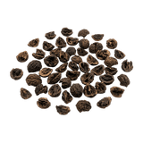 Black Walnut Hulls — 100mg