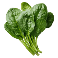 spinach