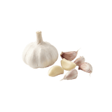 Garlic Extract 30:1 — 50mg