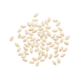 Pumpkin Seed Extract 20:1 — 100mg